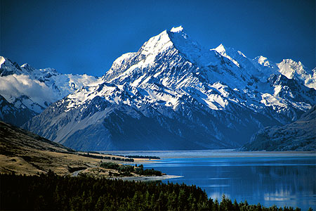 На 11 май т. г. в Биологическия факултет