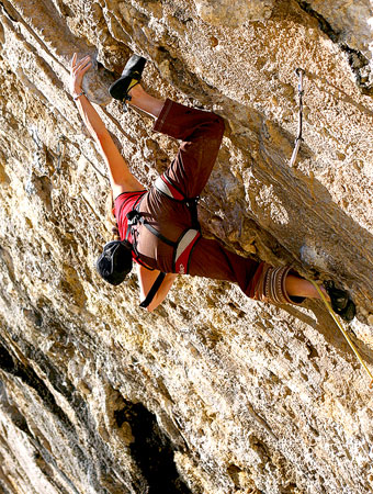 8b+ за Стефани Крувизие