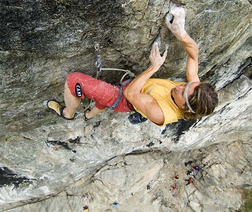 На 25 май т. г. в Биологическия факултет