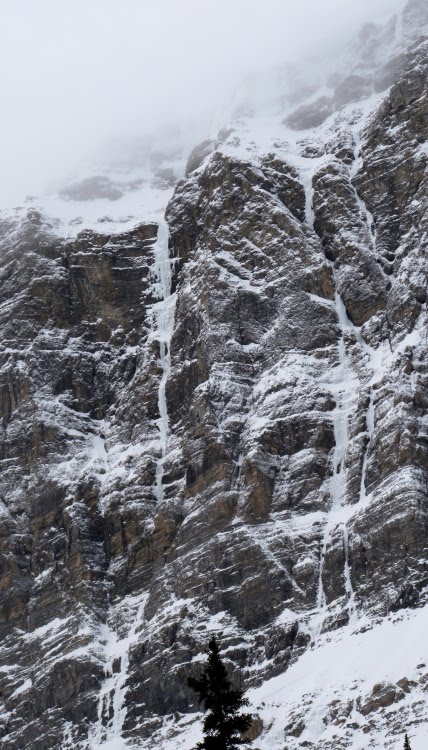 Три премиери за финал на сезона