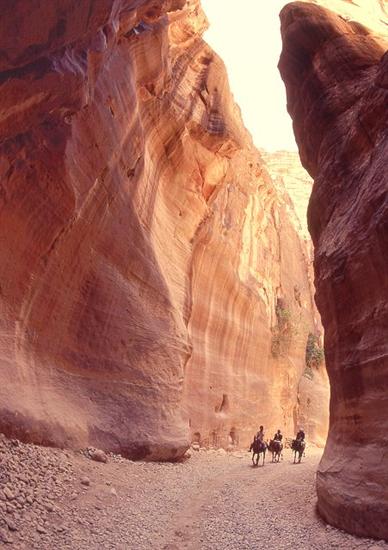 На 15 юни т. г. в Биологическия факултет