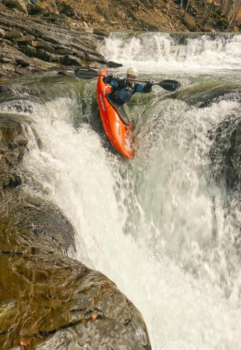 На 5 октомври т. г. в Биологическия факултет