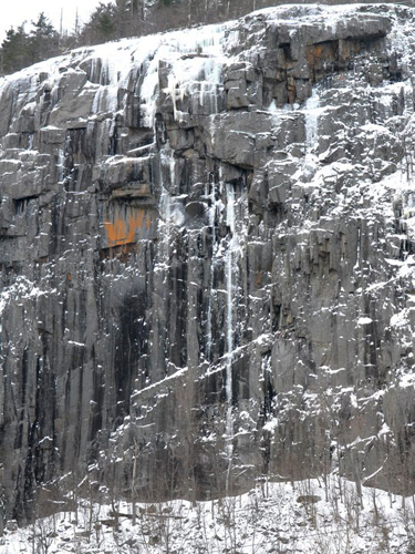 “Горили в мъглата” – 15 години по-късно