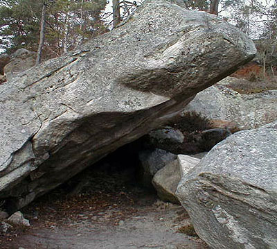 Първо 8С за 2011-а