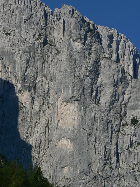 “Big Wall Project”