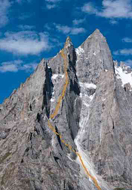 Премиера на Фида Брак