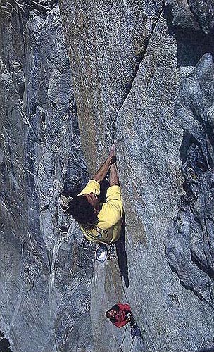 Фри Салате: Нагоре, все по стената