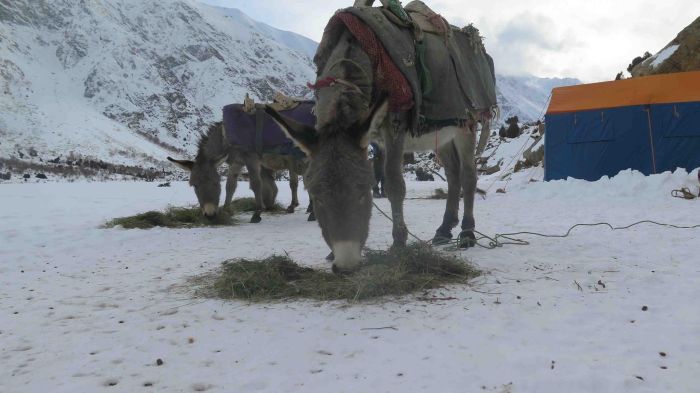 Нанга Парбат – дни за почивка и размисъл