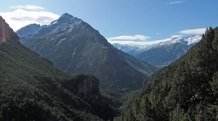 “Панама – живот сред прилепи, маймуни и учени”