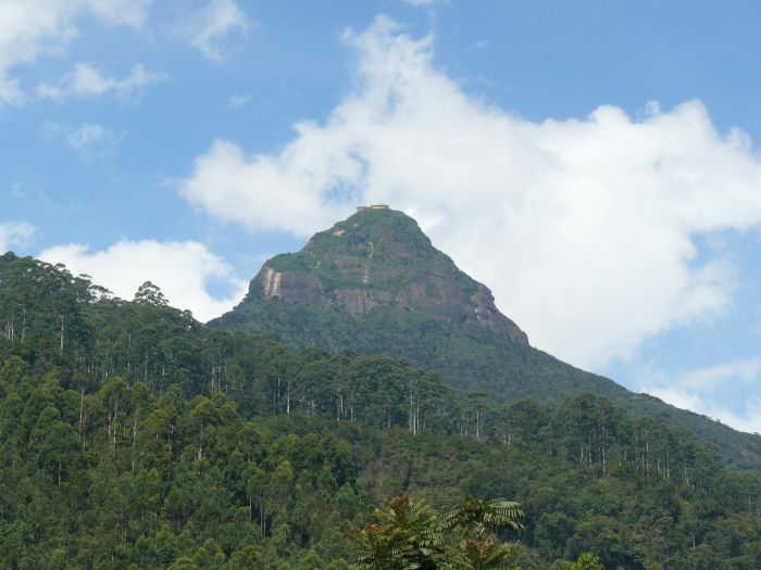 “Изкачихме Адамс пик, нагледахме се на птици, слонове, варани, маймуни, корали и риби”  