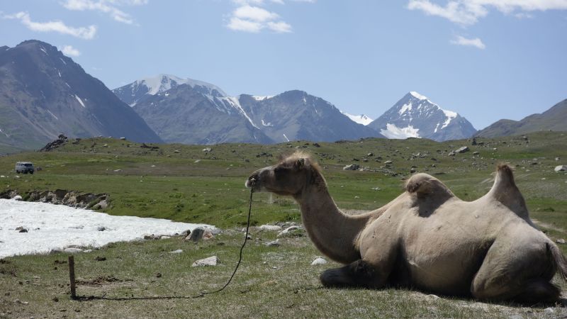 “20 дни из монголските земи”