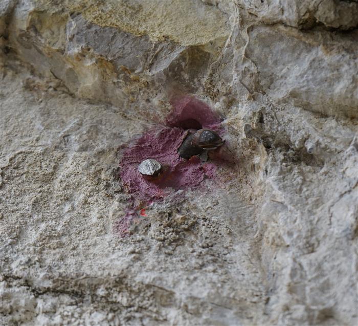 Снимки от вандализма на Света Троица