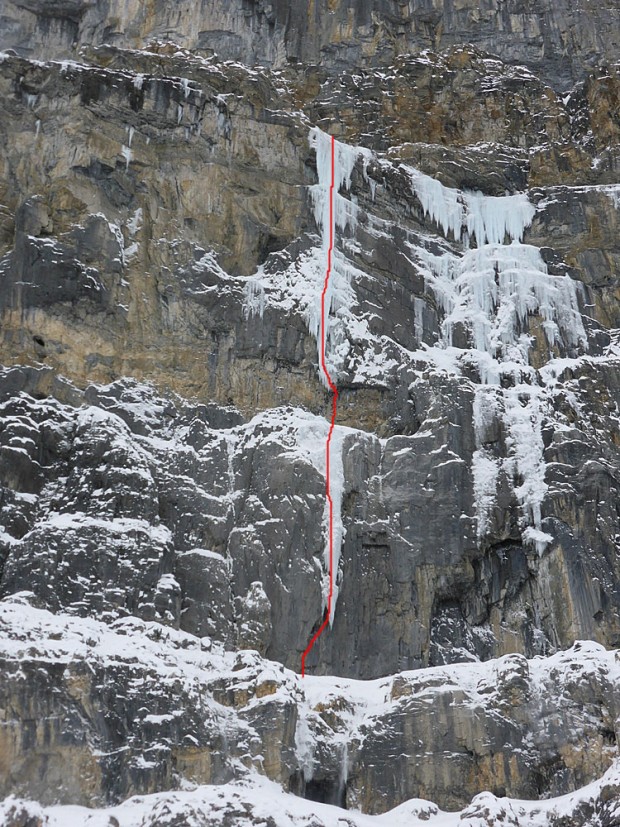 Хубави микстови турове и оцеляване след сблъсък с мечка гризли