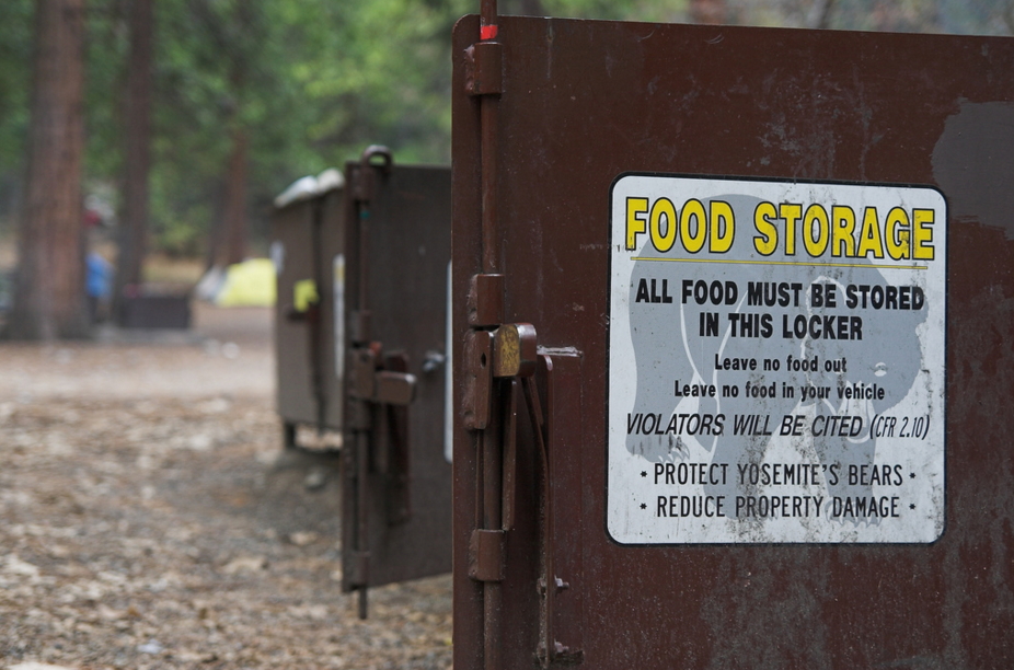 Добре дошъл на Египетския лешояд