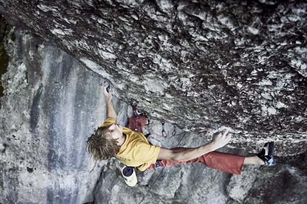 Нова екстремна линия във Франкен – “Zootopia” (11-/ 11) на Алекс Мегос