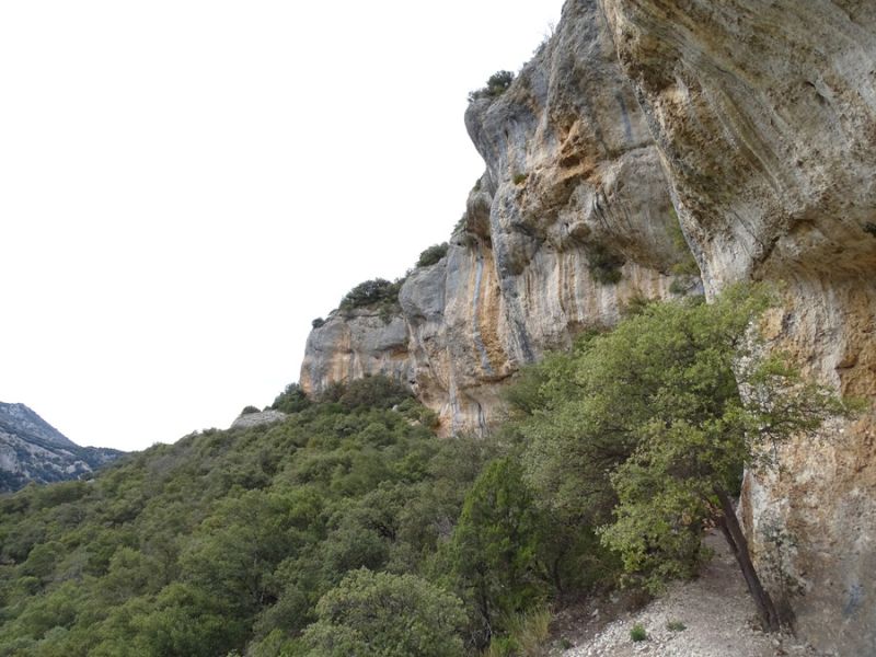 “Сензационна линия, която има всички шансове да се превърне в класическа за района”