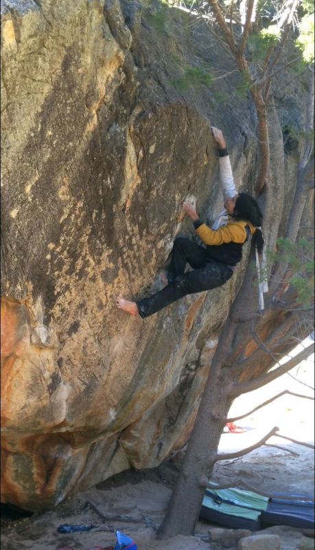 Поредно 8C за босоногия Шарл Албер – този път “Monkey Wedding”!