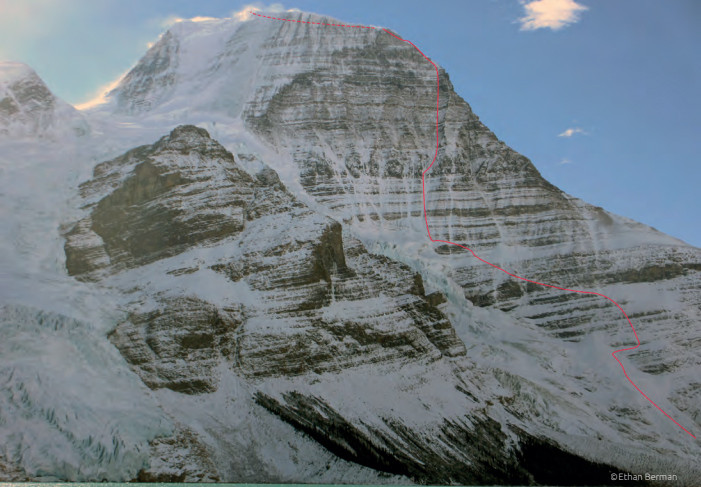 Носителите на Златен пикел за 2020 г.