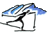 Ski Alpinism